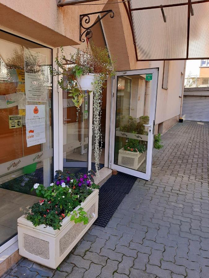 Guest House Diel Veliko Tarnovo Eksteriør billede